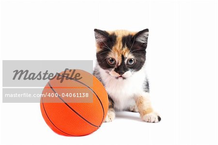 A sadness kitten and basketball, with soft shadow on a white background
