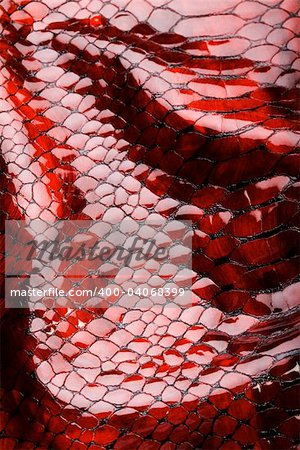 Snakeskin texture - leather background