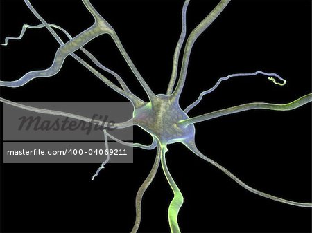 3d rendered close up of a human nerve cell