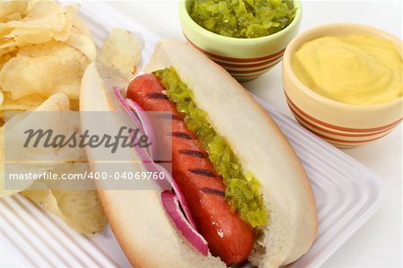 Gourmet Hot Dog served with mustard, onions, sweet relish and potato chips