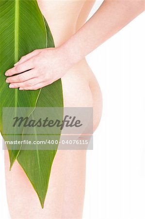 a body of a beautiful girl cover with palm leaf