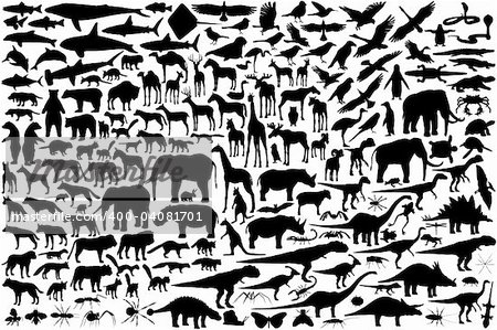 Diverse set of editable vector animal outlines