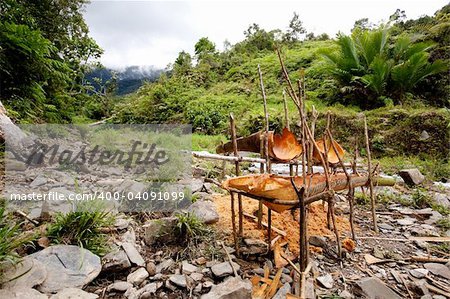 Primative yet usefull tools for making sago, a staple food in Papua New Guinea and Indonesia