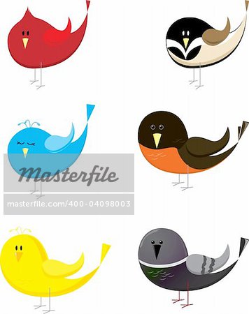 Set of six songbirds - vector based