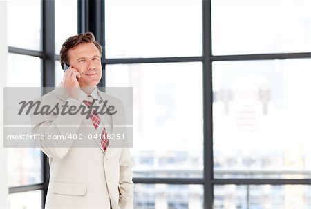 Mature businessman speaking on a mobile phone with copy-space