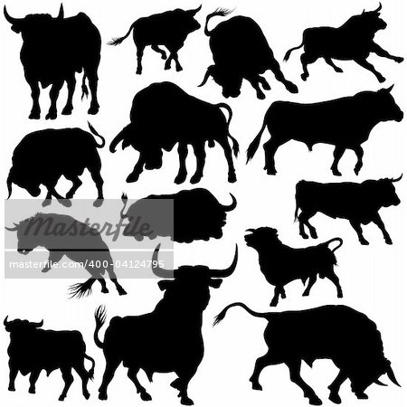 Bull Set Silhouettes 1 - black hand drawn illustration as vector