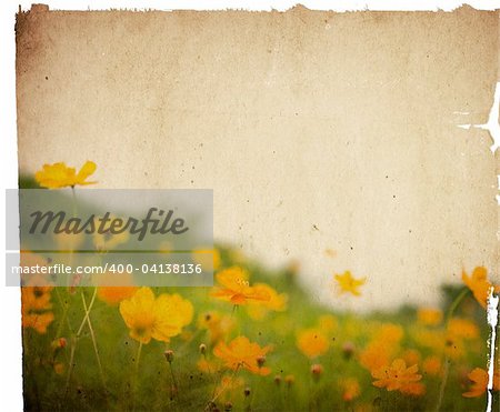 old flower paper textures - perfect background with space for text or image