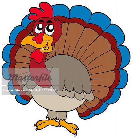 Cartoon turkey on white background - vector illustration.