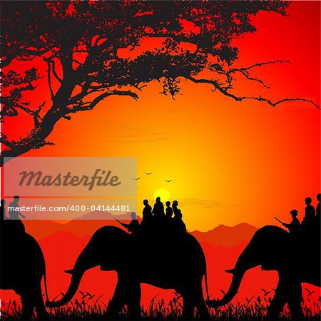 silhouette of wildlife safari on an elephant
