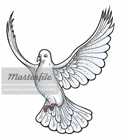 White dove vector