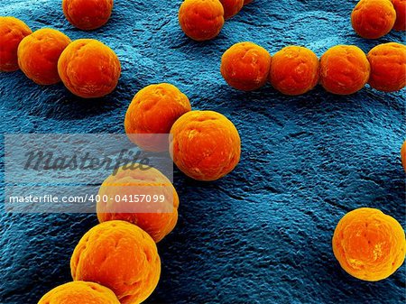 3d rendered close up of isolated streptococcus bacteria