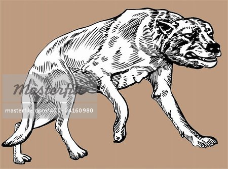 Hand drawn image of a dire wolf.