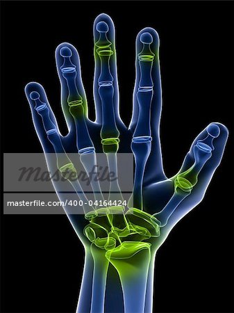 3d rendered x-ray illustration of a hand with highlighted joints