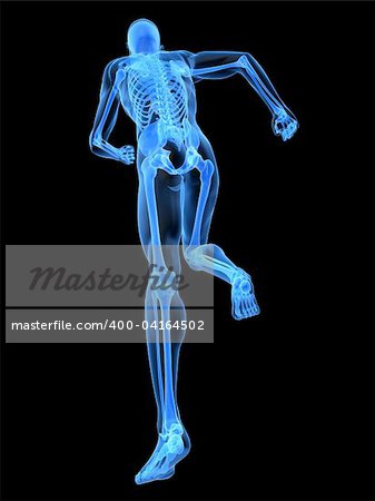 3d rendered x-ray illustration of a running skeleton