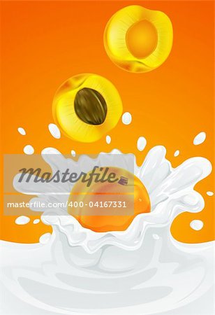 orange apricot fruit falling into the milky splash - vector illustration