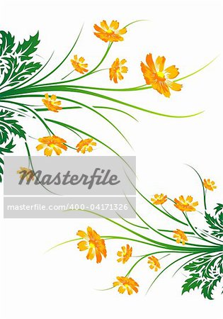 Abstract painted background with flowers vector illustration