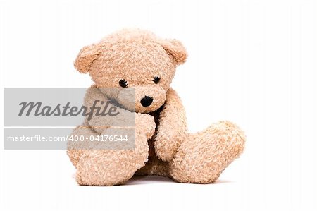 Teddy bear stodui shot