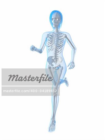 3d rendered illustration of a running  female skeleton