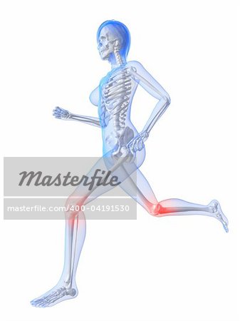 3d rendered illustration of a running female skeleton with highlighted joints