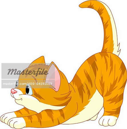 Cute red hair Cat stretching against white background