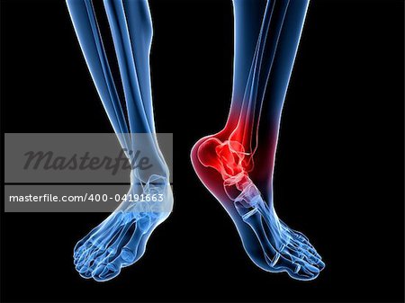 3d rendered illustration of a skeletal foot with highlighted ankle