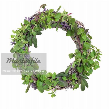 Herb leaf garland with purple and variegated sage, oregano, basil and lavender flowers, isolated over white background.