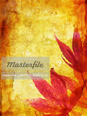 Beautiful autumn, grungy background with maple leaves