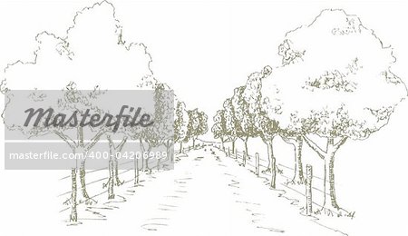 Pen and ink style illustration of a tree shaded road.