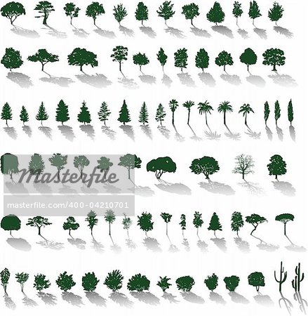 Set of vector silhouettes of trees and bushes with shadows