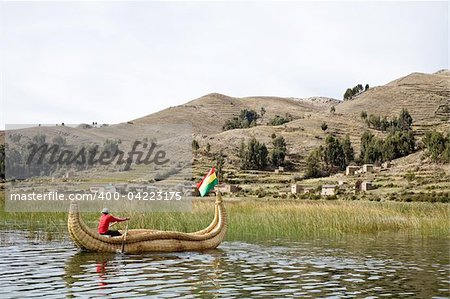 The Uros, an indigenous people predating the Incas, live on Lake Titicaca upon floating islands fashioned from this plant. The Uros also use the Totora plant to make boats (balsas) of the bundled dried plant reeds.