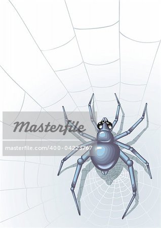 Vector image of the spider with web on background.