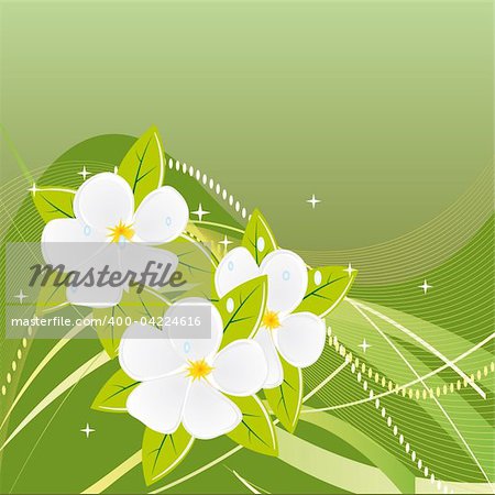Abstract green background with magnolias. Vector illustration. Vector art in Adobe illustrator EPS format, compressed in a zip file. The different graphics are all on separate layers so they can easily be moved or edited individually. The document can be scaled to any size without loss of quality.