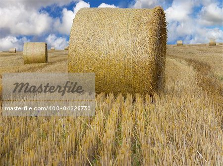 Hay bale on a field with blue cloudy sky