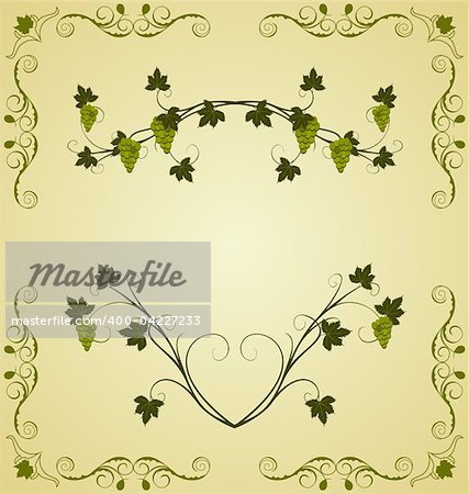 Illustration the grape twig ornate for design labels - vector