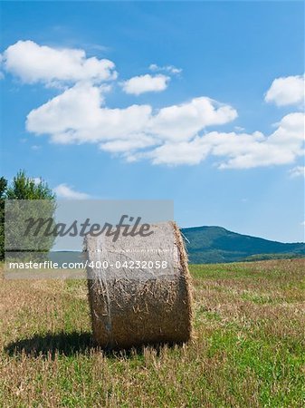 Beautiful blue sky above the lone ball straw