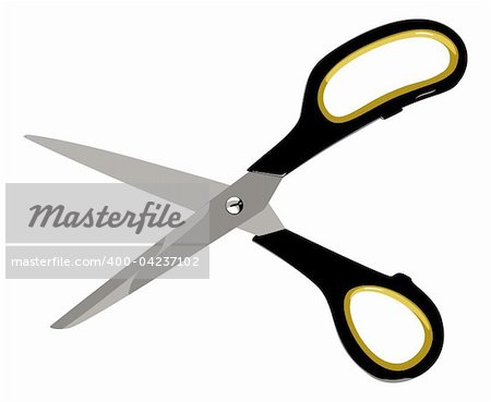 vector illustration of kitchen scissors