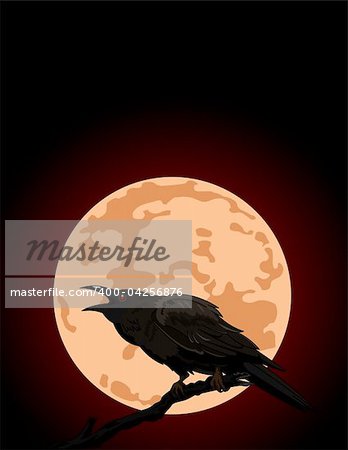 Halloween Crow sitting and croaks against a full moon