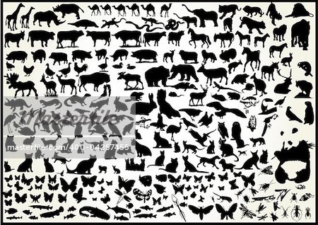 Collection of Animal vector silhouette