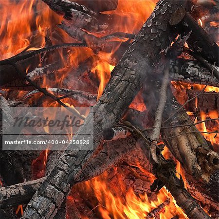 Burning firewoods and coal in the campfire
