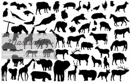 vector silhouettes of different wild and domestic animals can be scaled to any size