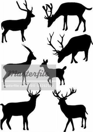 collection of deers - vector