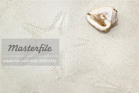 Sea shell on sand with starfish imprint