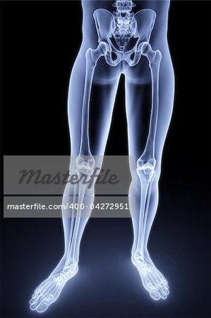 male feet under the X-rays. 3d image.
