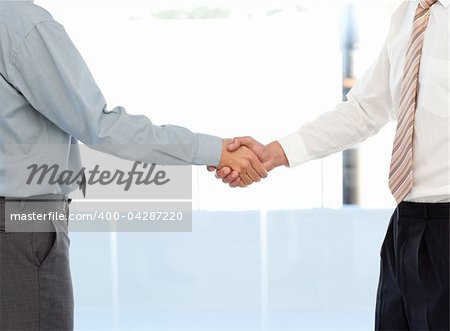 Close up of two businessmen concluding a deal by shaking their hands standing in the office