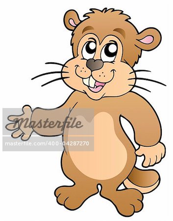 Cartoon groundhog on white background - vector illustration.