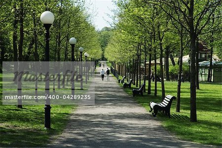 Avenue in park