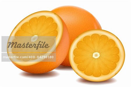 illustration of orange fruit on white background