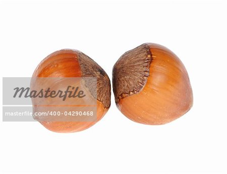 ripe brown hazelnuts isolated on white background