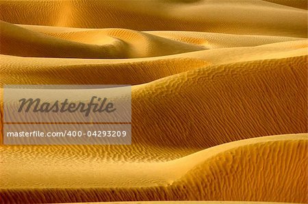 Scenery of desert textures in a sandhill