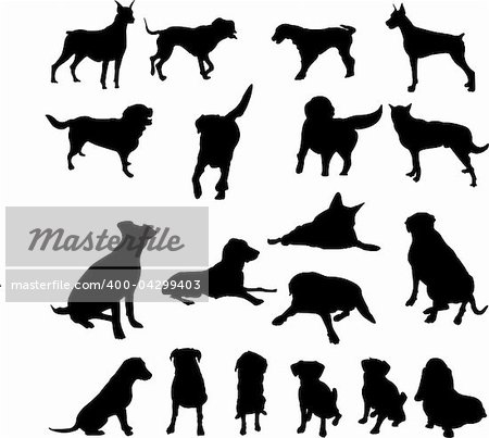 dogs coillection - vector